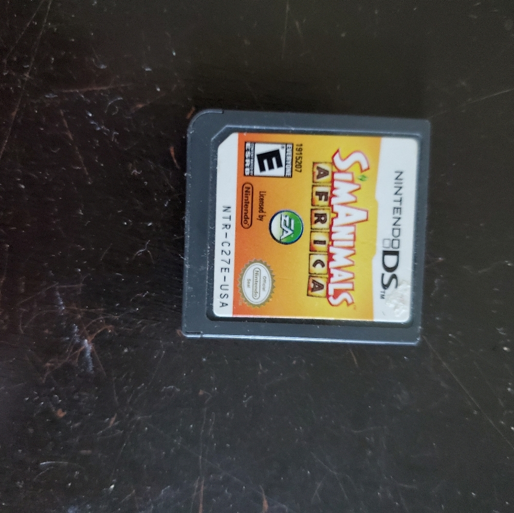 Nintendo ds game